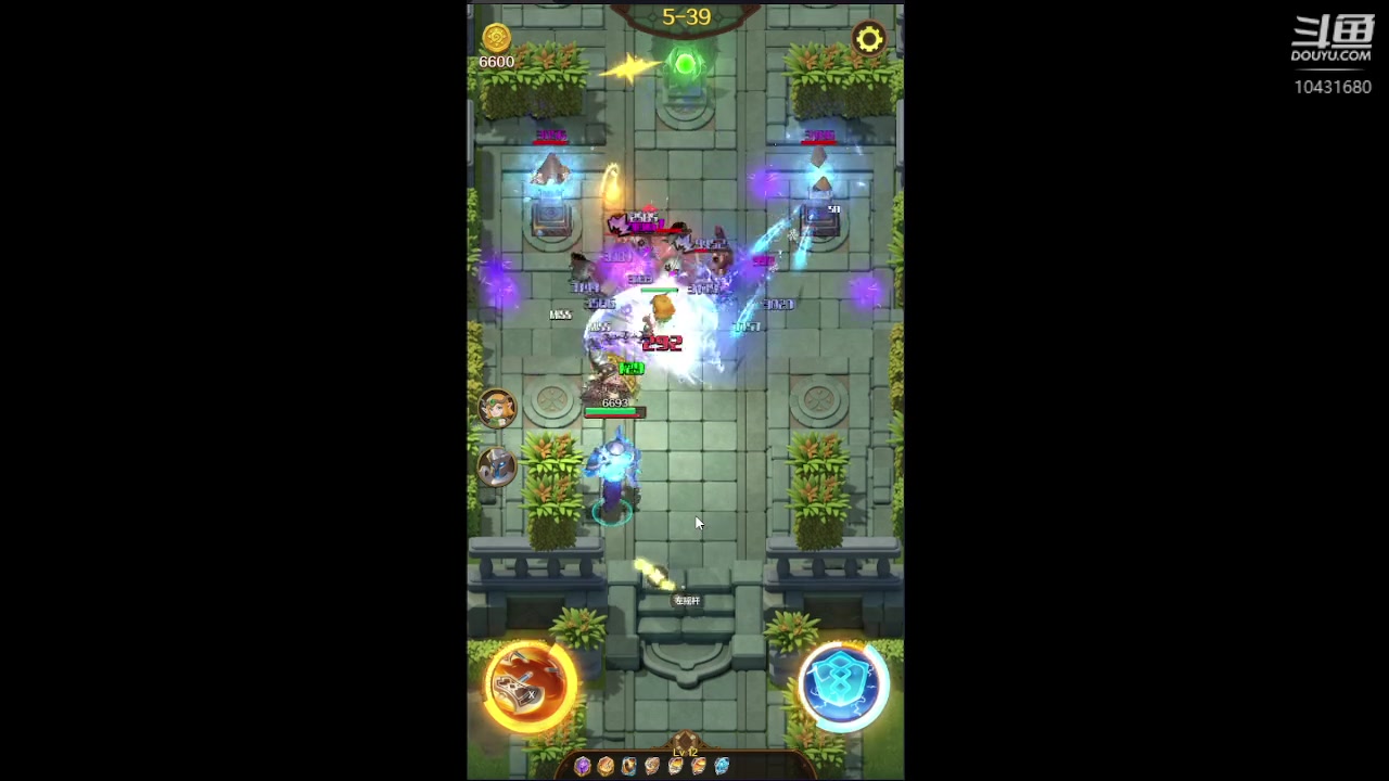 【2023-6-2 8点场】石头很会飞:夏秋玩！进来看看小白菜！