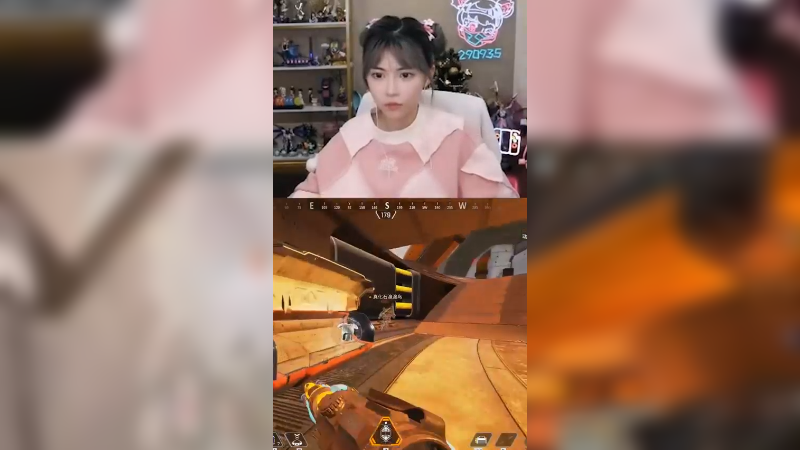 主打一个陪伴