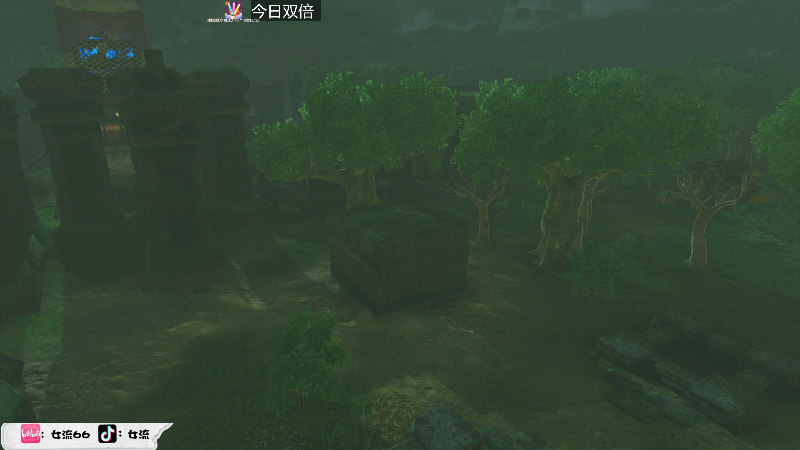 【塞尔达传说：王国之泪】女流66的精彩时刻 20230602 16点场