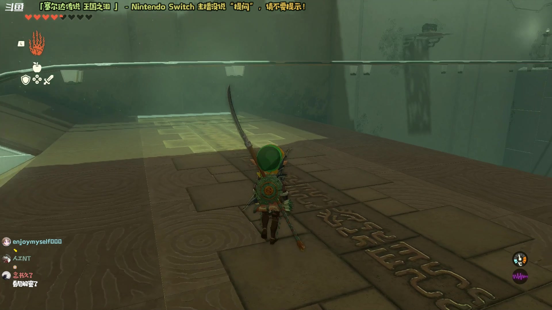 【2023-05-31 20点场】哈尼她姐：「塞尔达王国之泪」不想去地底的街溜子林克