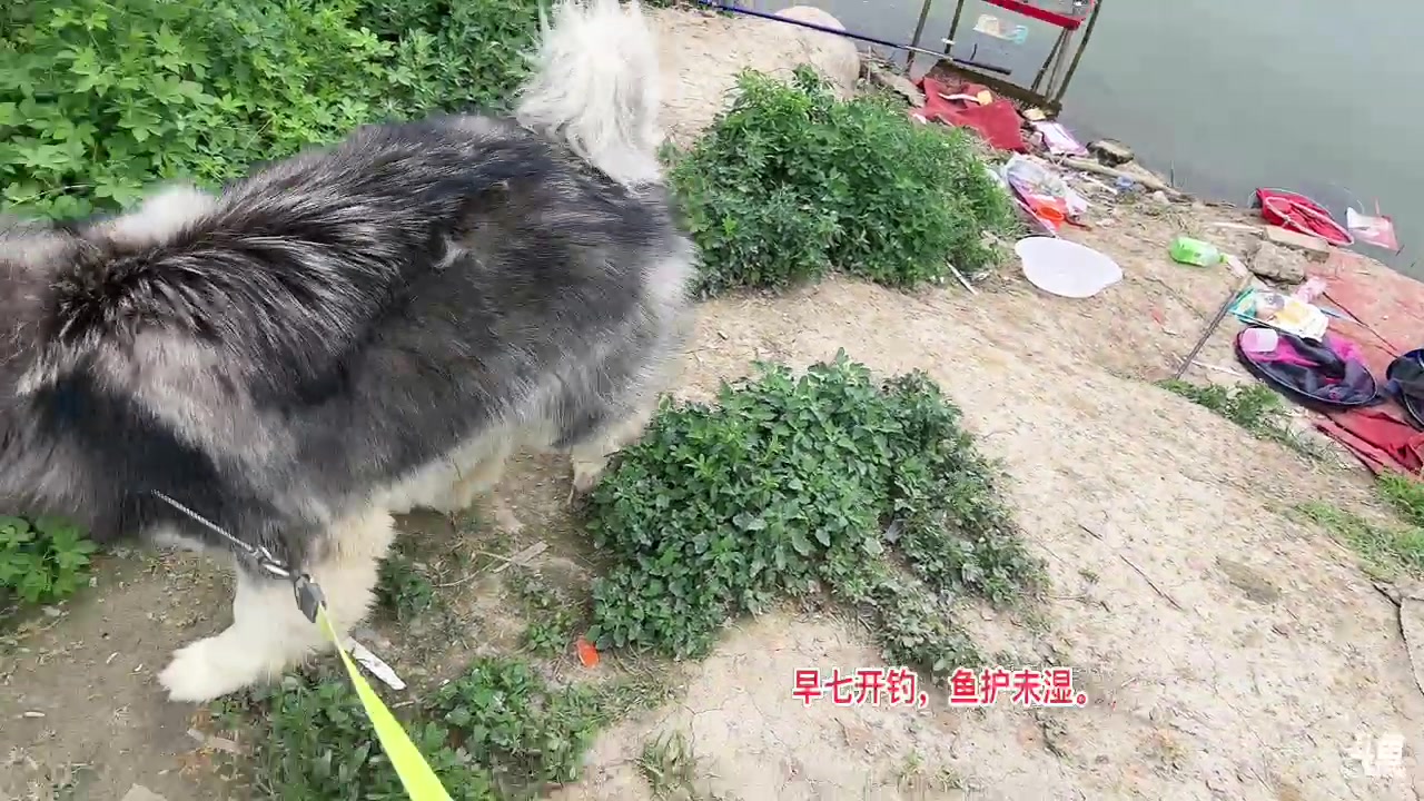 【2023-06-03 14点场】小狮子lionkk丶：FPS玩家K
