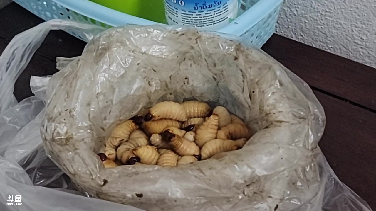 【2023-05-30 21点场】叶子户外：老挝骑行day6川矿