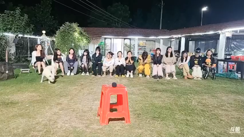 女主播听歌识曲比赛，小梦仙老虎啊