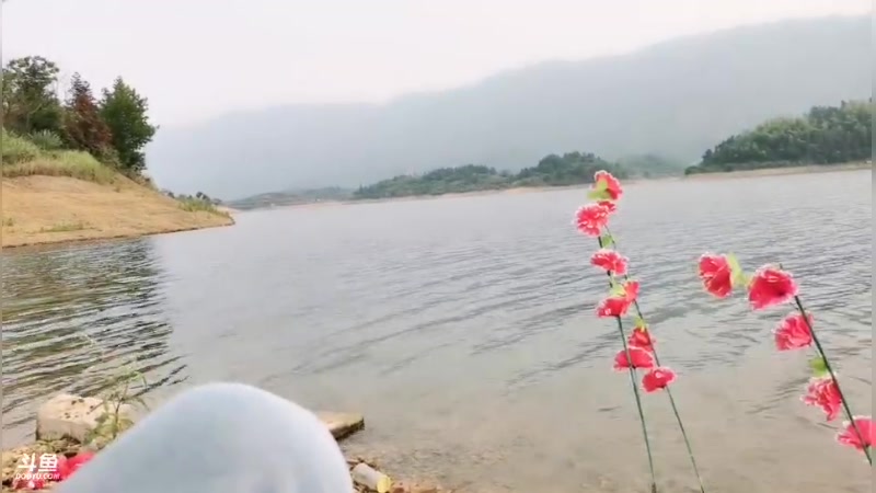 【2023-06-04 17点场】中华户外钓鱼：蔡闲水库打大窝