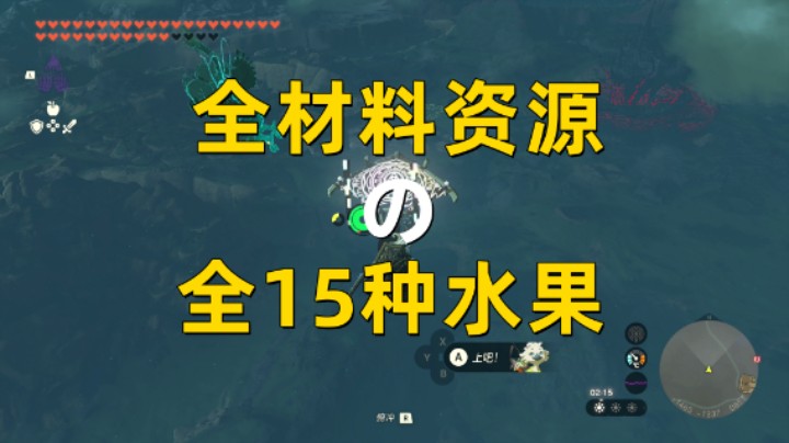 【王国之泪】全材料资源之全15种水果获取  酥麻水果/闪耀果等