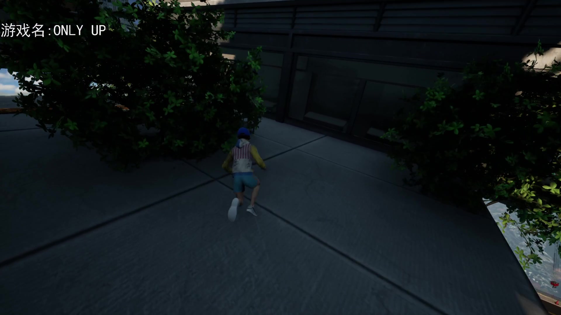 【2023-06-04 18点场】巴格拉斯：热爱生活，走进巴叔