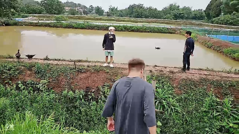 抓住就要被吃了快跑鸭～