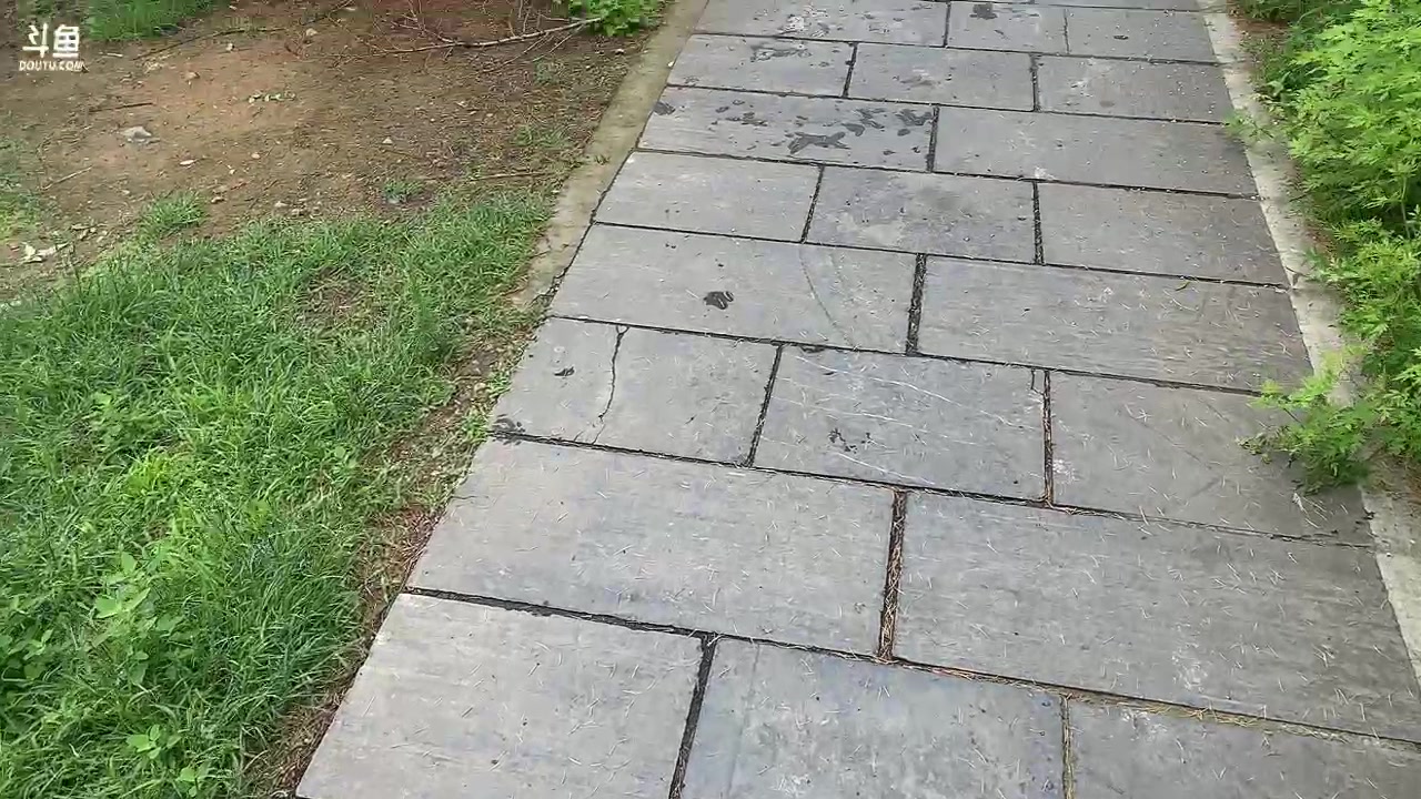 【2023-06-04 09点场】周一南OvO：【呆猪】我想出道了。