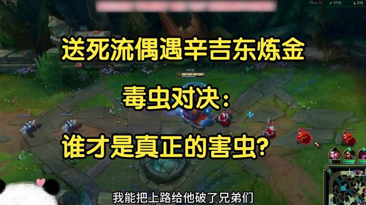 送死流塞恩偶遇辛吉东炼金，毒虫对决：谁才是真正的害虫？