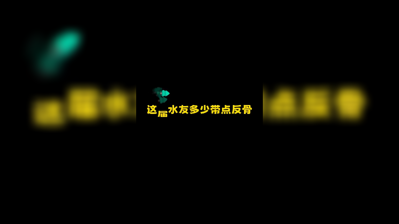 这届水友不是很友善