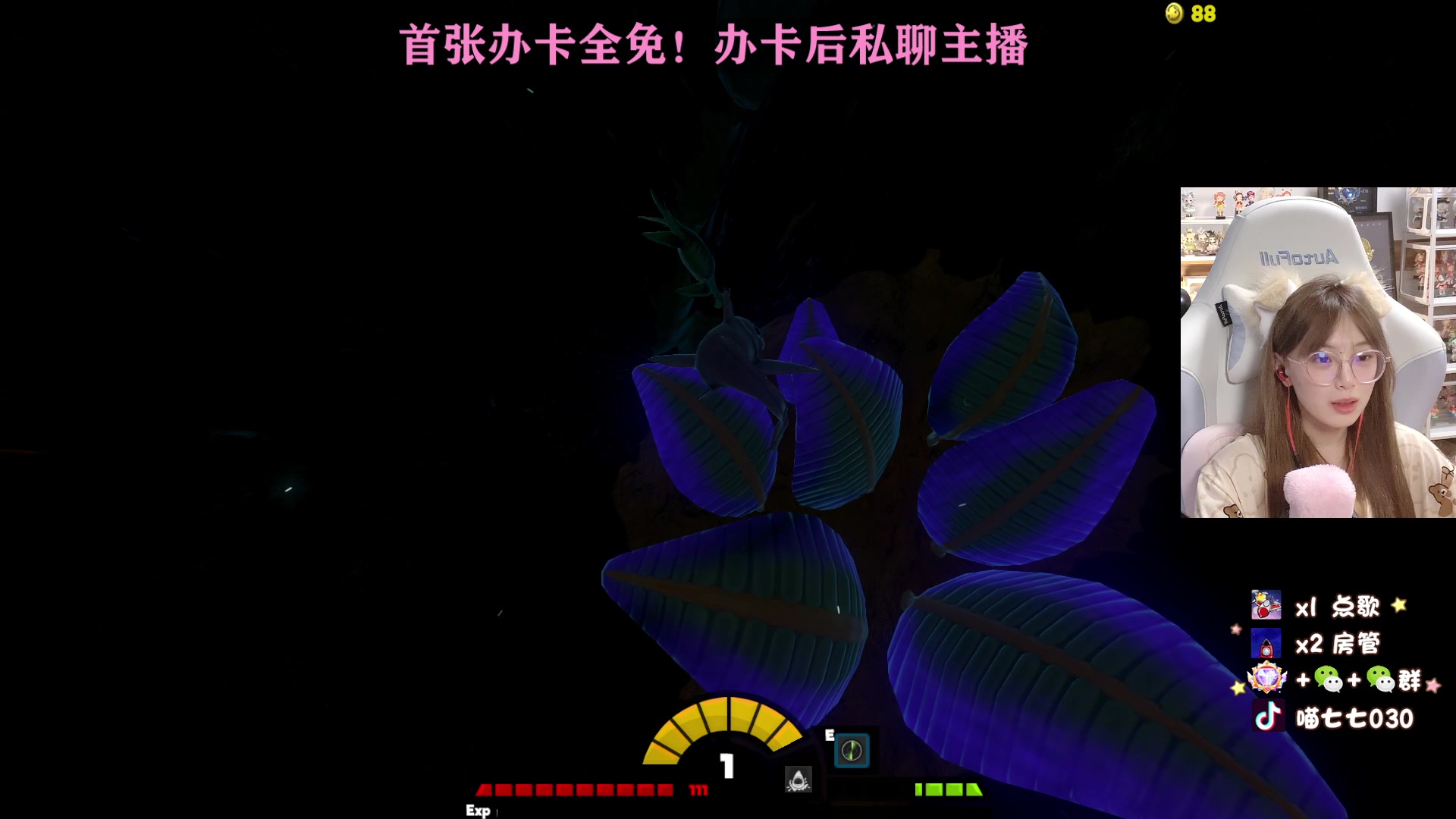 【2023-06-06 06点场】喵七七030：【呆猪】温柔全能女主播