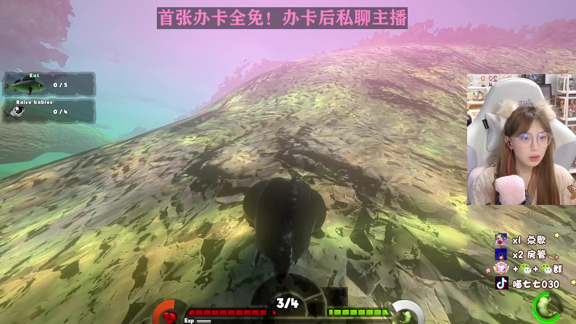 【2023-06-06 01点场】喵七七030：【呆猪】温柔全能女主播