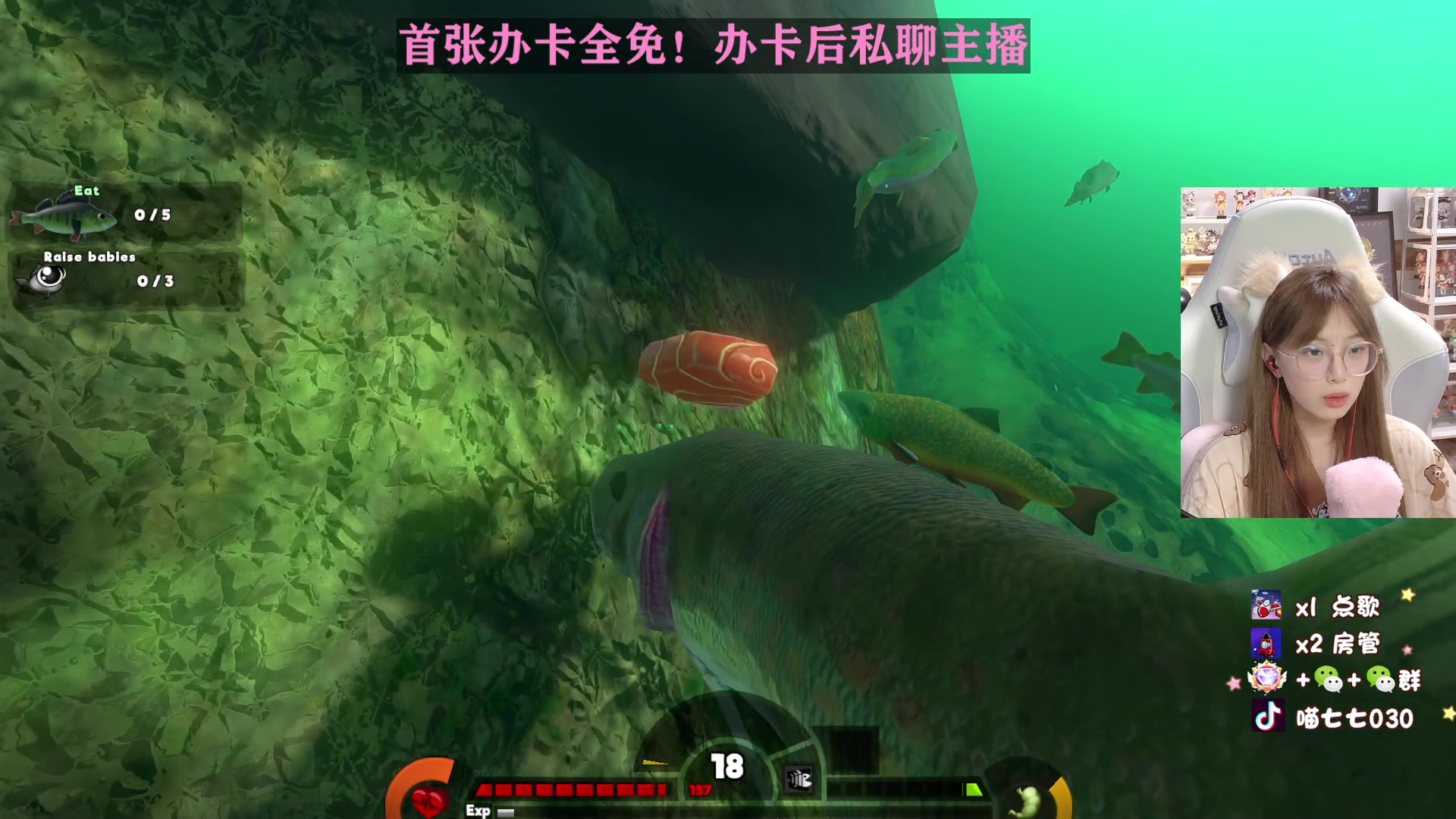 【2023-06-06 02点场】喵七七030：【呆猪】温柔全能女主播