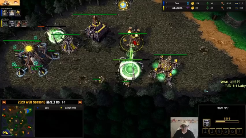 【TED出品】WSB循环赛 一毛饭 vs Laby 强势的平推