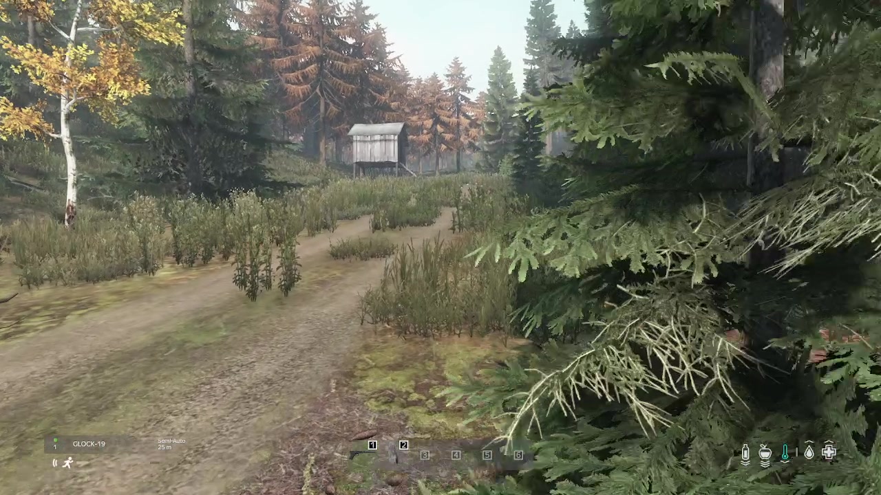 【2023-06-06 18点场】dayz韩爱东西：纳马斯克荒岛余生