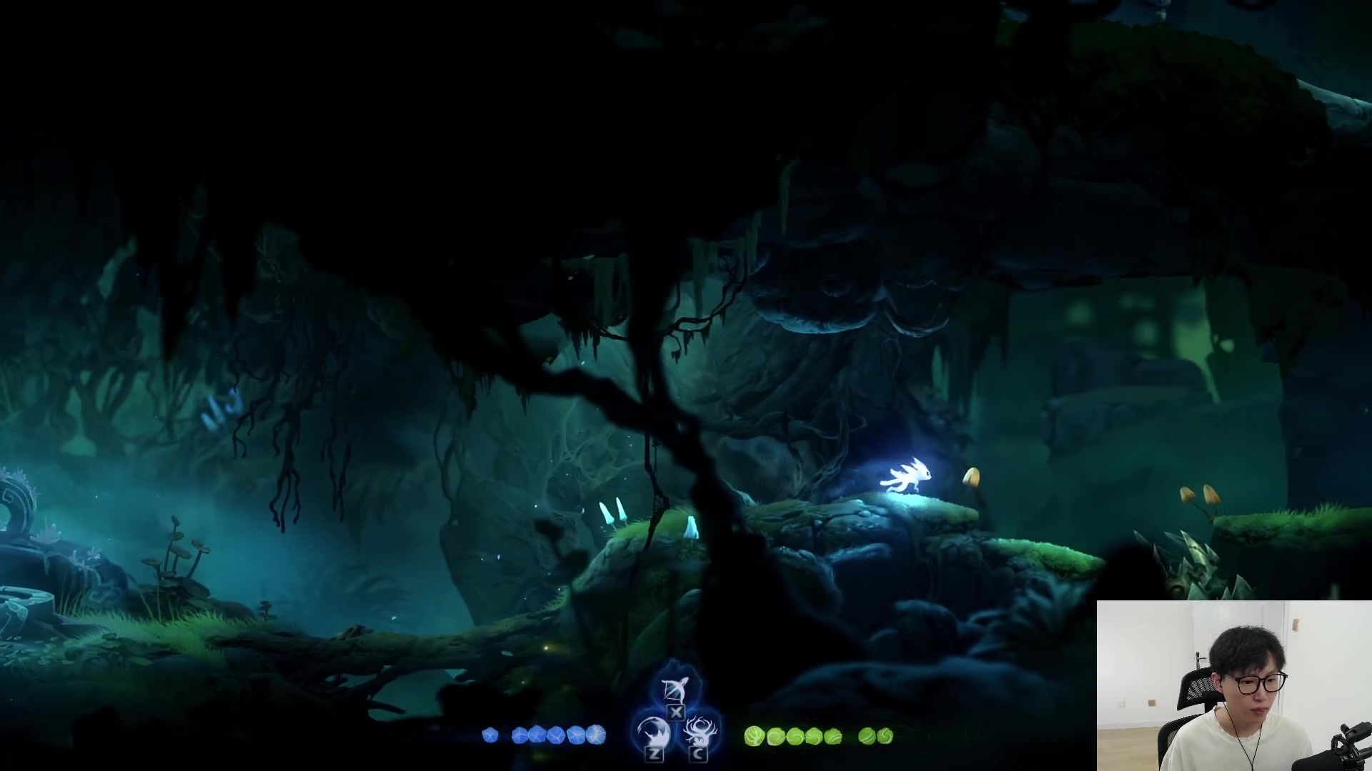 【2023-06-05 16点场】七潇丷：【小奶团】精灵与火意志