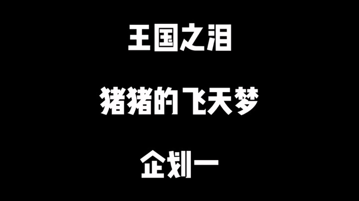 【王国之泪】猪猪的飞天梦企划一