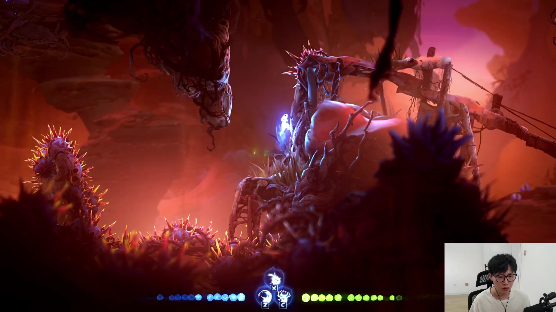 【2023-06-06 16点场】七潇丷：【小奶团】精灵与火意志