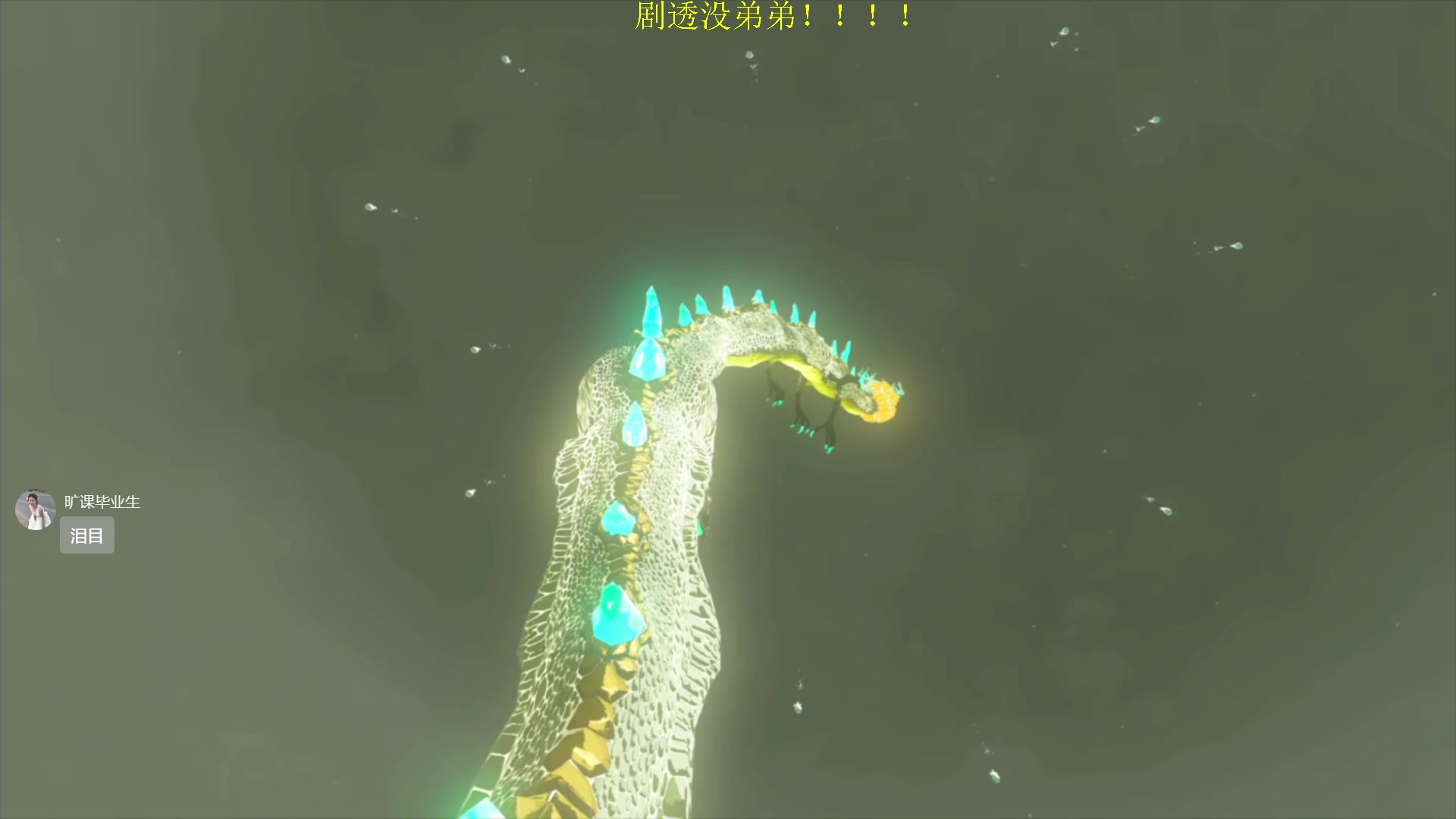 【2023-06-01 22点场】是七宝呀：only up 太难了，还是塞尔达好玩