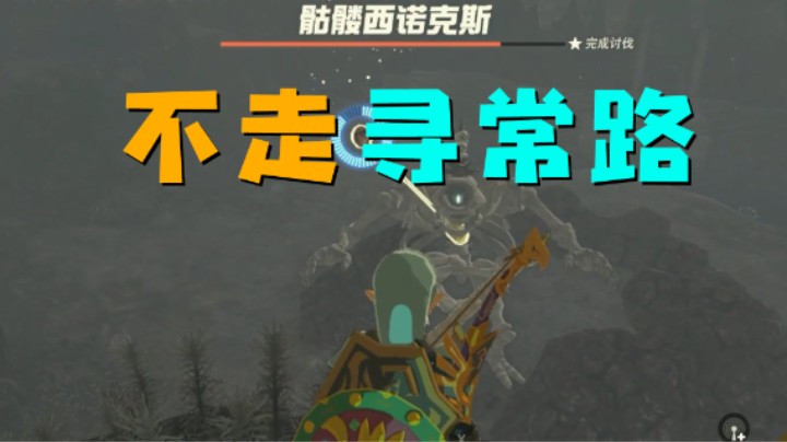 我只是喜欢用一些别人不用的方法打怪