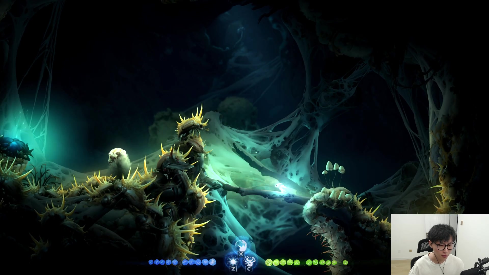 【2023-06-06 01点场】七潇丷：【小奶团】精灵与火意志