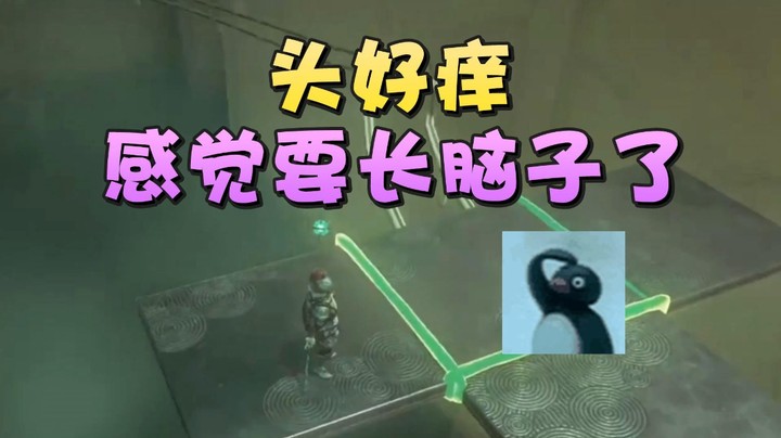 【王国之泪】美美干嘛呢：“头好痒感觉要长脑子了”