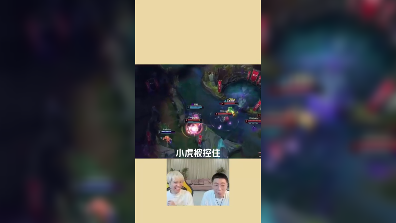 一句话都插不上，这就是专业解说吗？