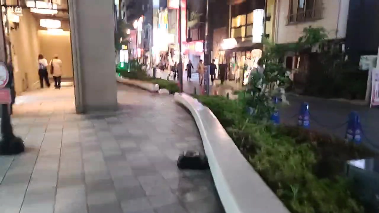 【2023-06-10 20点场】火力堂主：日本行day6，看不到马里奥！