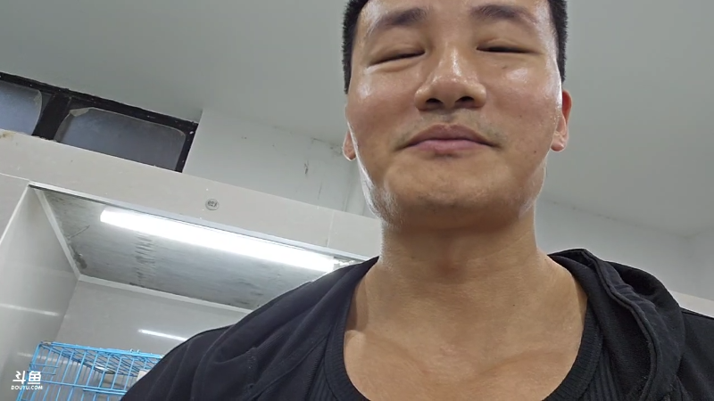 这只狗1562元人民币吗？