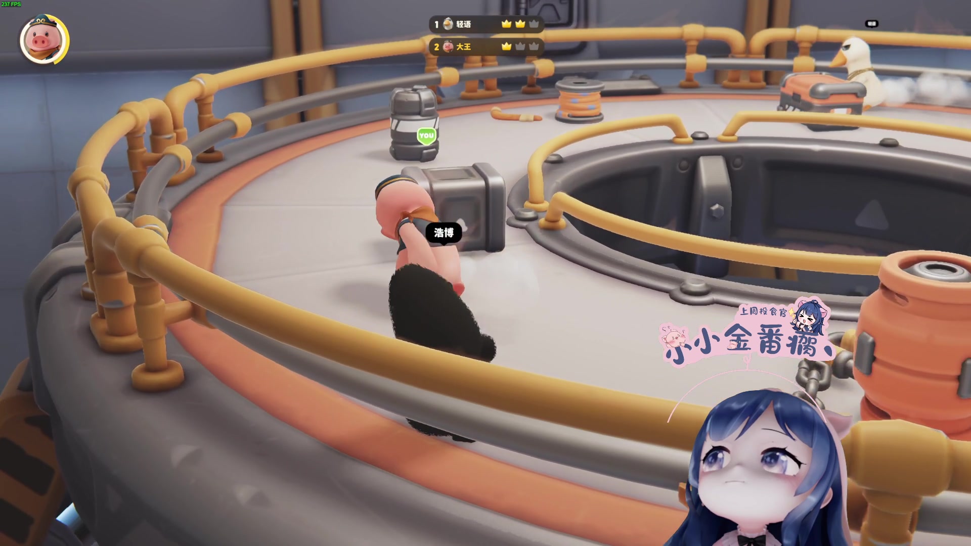 【2023-06-10 20点场】一条小团团OvO：啦啦啦美好的一天从今天开始