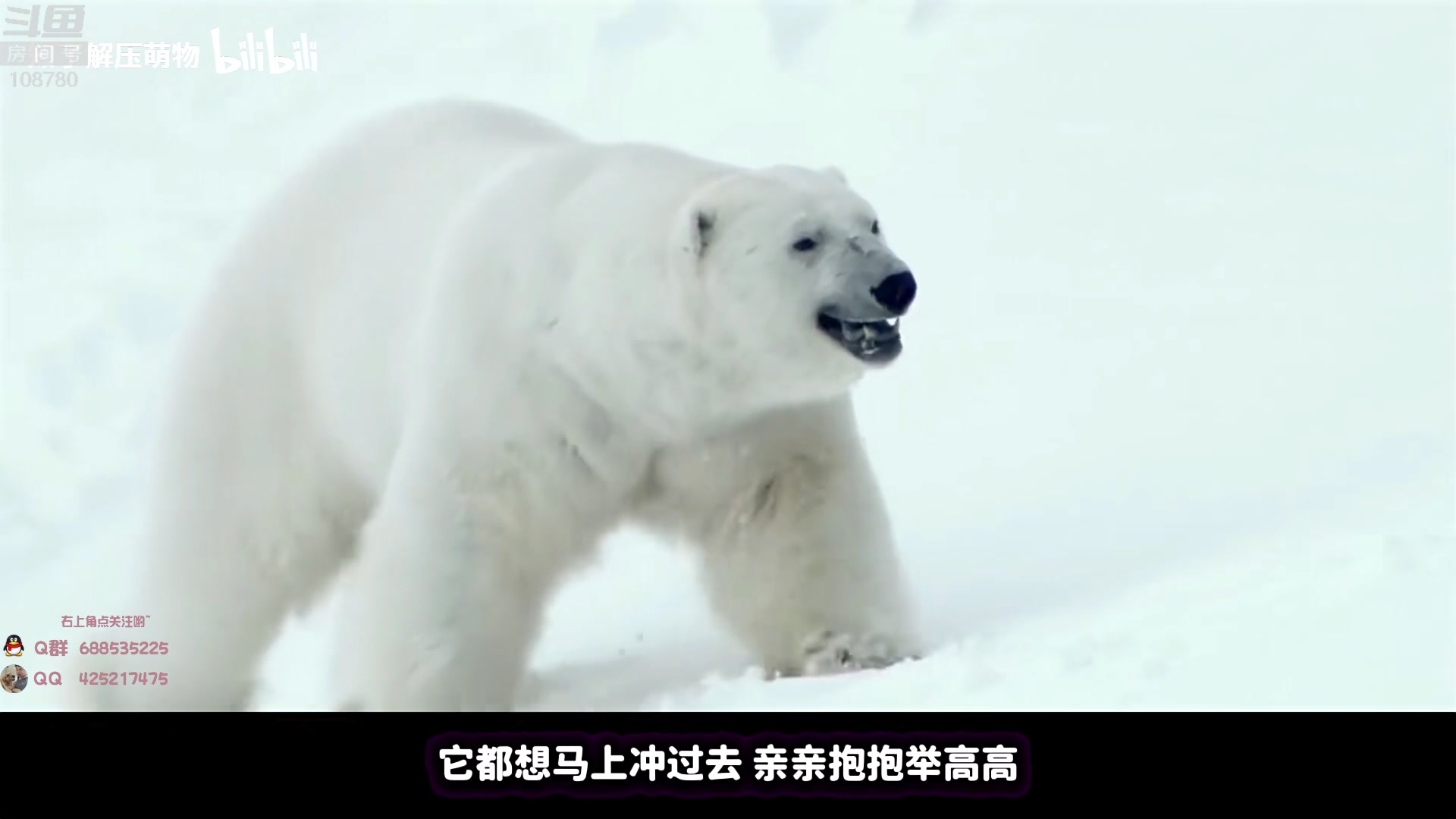 【2023-06-11 08点场】兮饭锐雯：无限火力滴神 108780