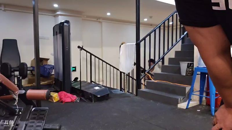 真把边牧犬买回来啦，儿子叫西西狗叫东东，两个半月的小狗可爱。