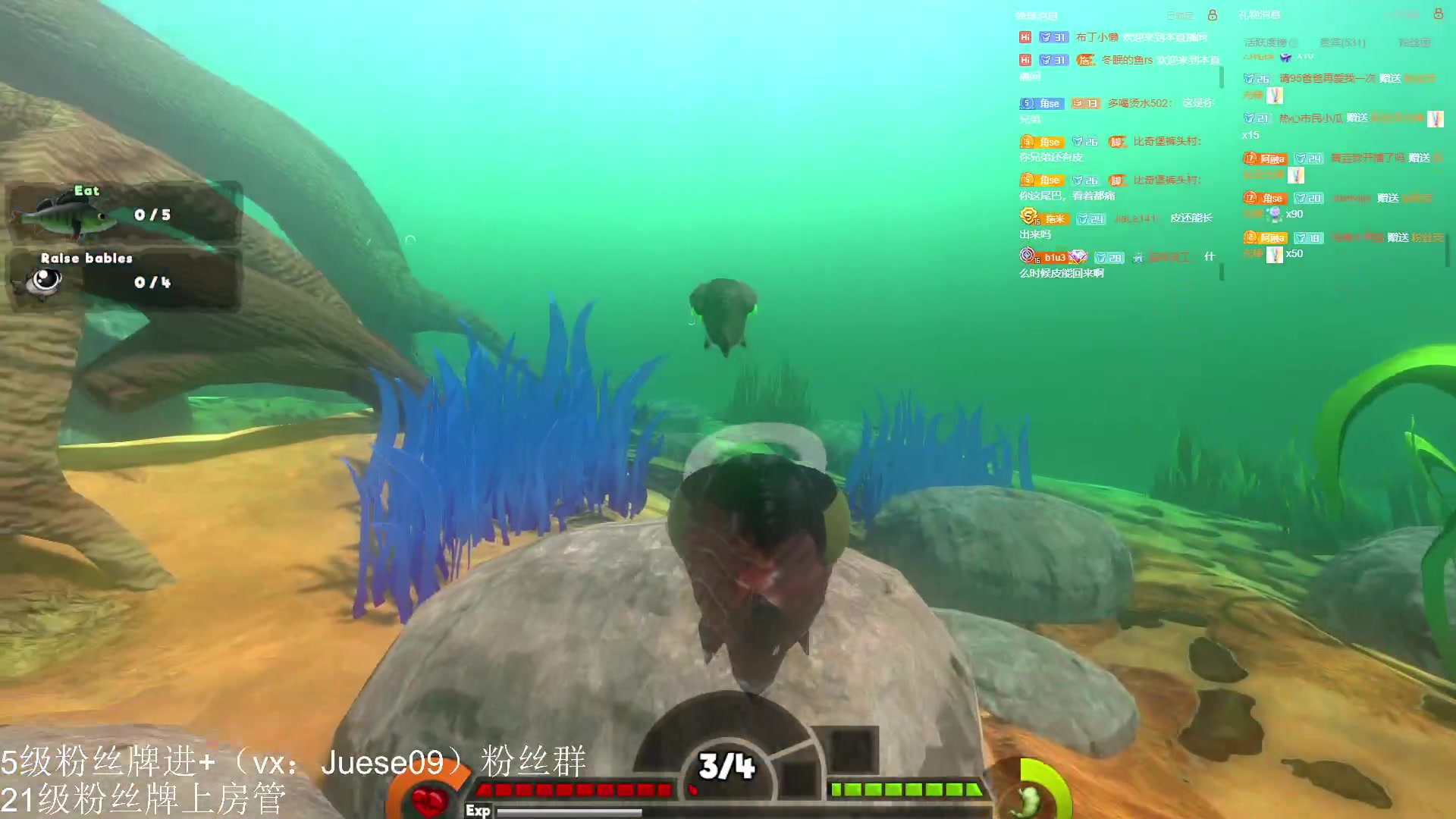 【2023-06-10 20点场】小角色ovo：海中霸主来喽！