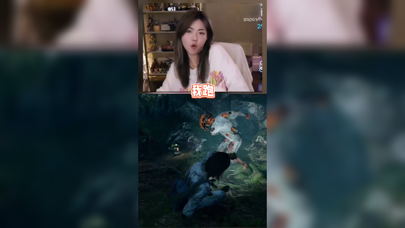 我在斗鱼看不2不叫周淑怡直播英雄联盟