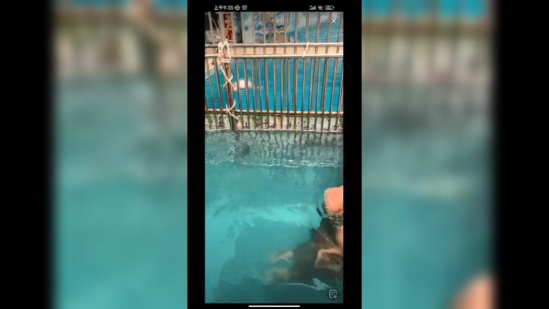 海洋馆里的海象很喜欢翻跟头啊