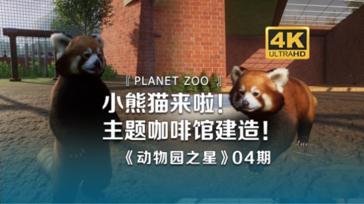 小熊猫来啦！主题咖啡馆建造！《动物园之星Planet Zoo》04期