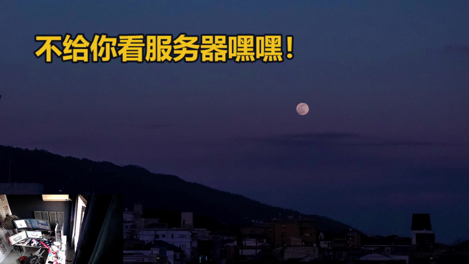 【2023-06-13 18点场】斯祥丶：独狼的生存日常！