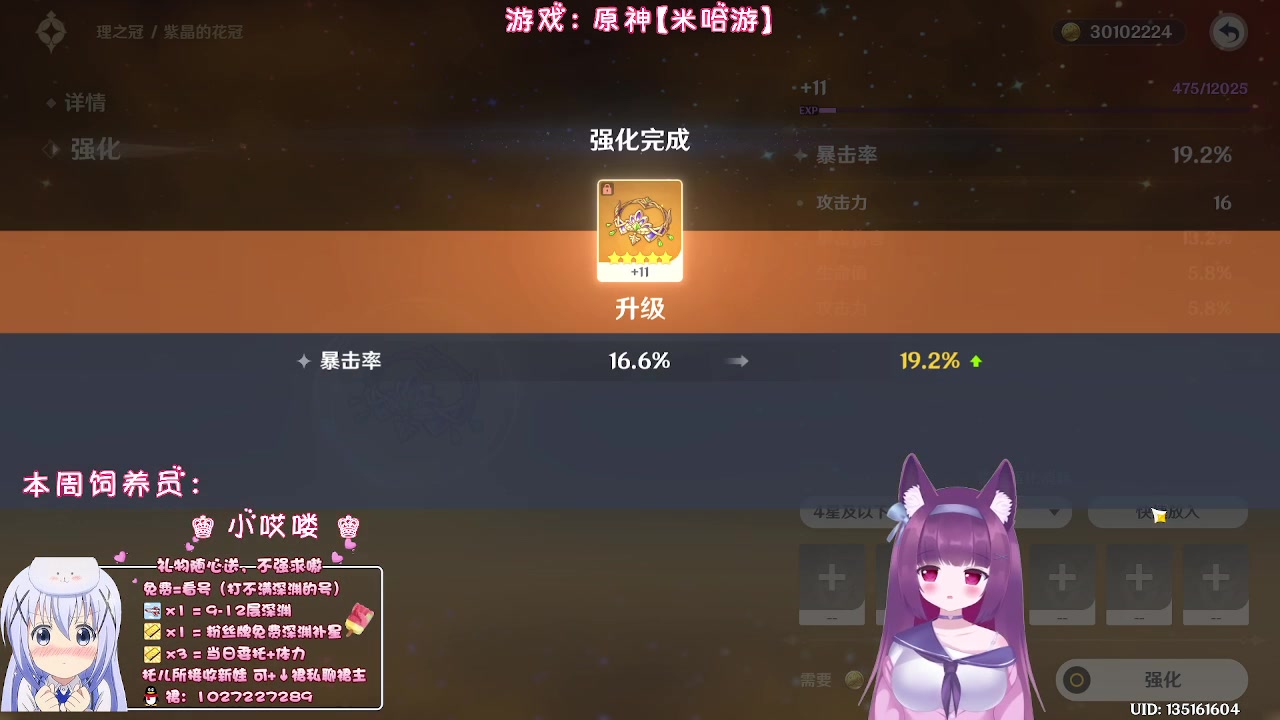 【2023-06-12 22点场】Corgi酱紫：没事干聊聊天鸭