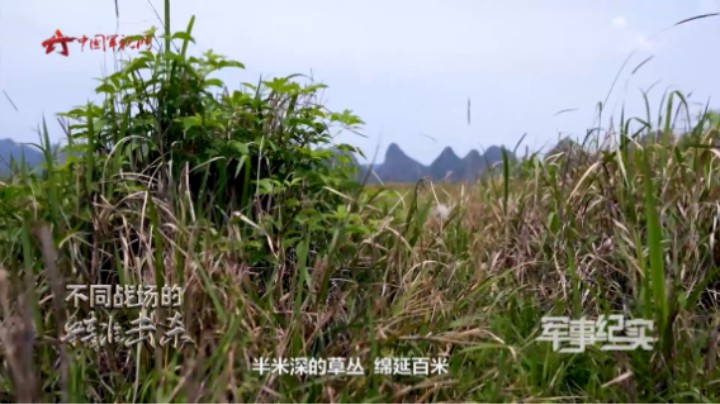 就地取材 特战队员的伪装“秘籍”究竟是啥