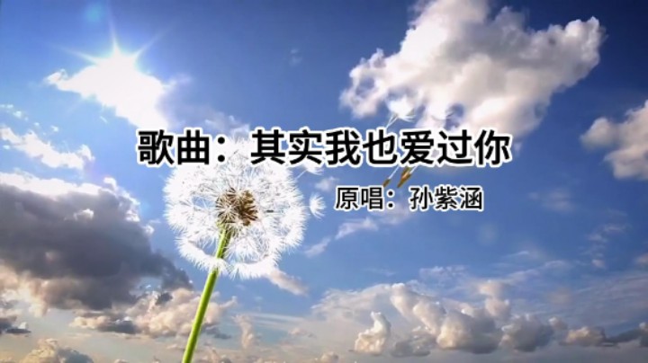 原唱歌曲：《其实我也爱过你》