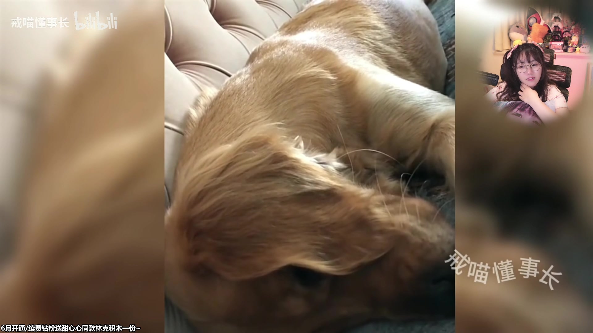 【2023-06-15 20点场】甜心战士：吃吃看看美滋滋～