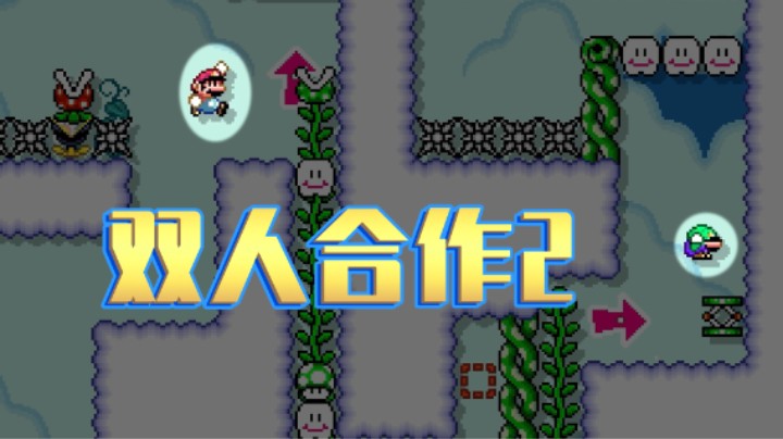 【白胖】马里奥和路易吉【双人合作】