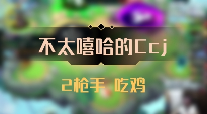 【不太嘻哈的Ccj】2枪手 吃鸡