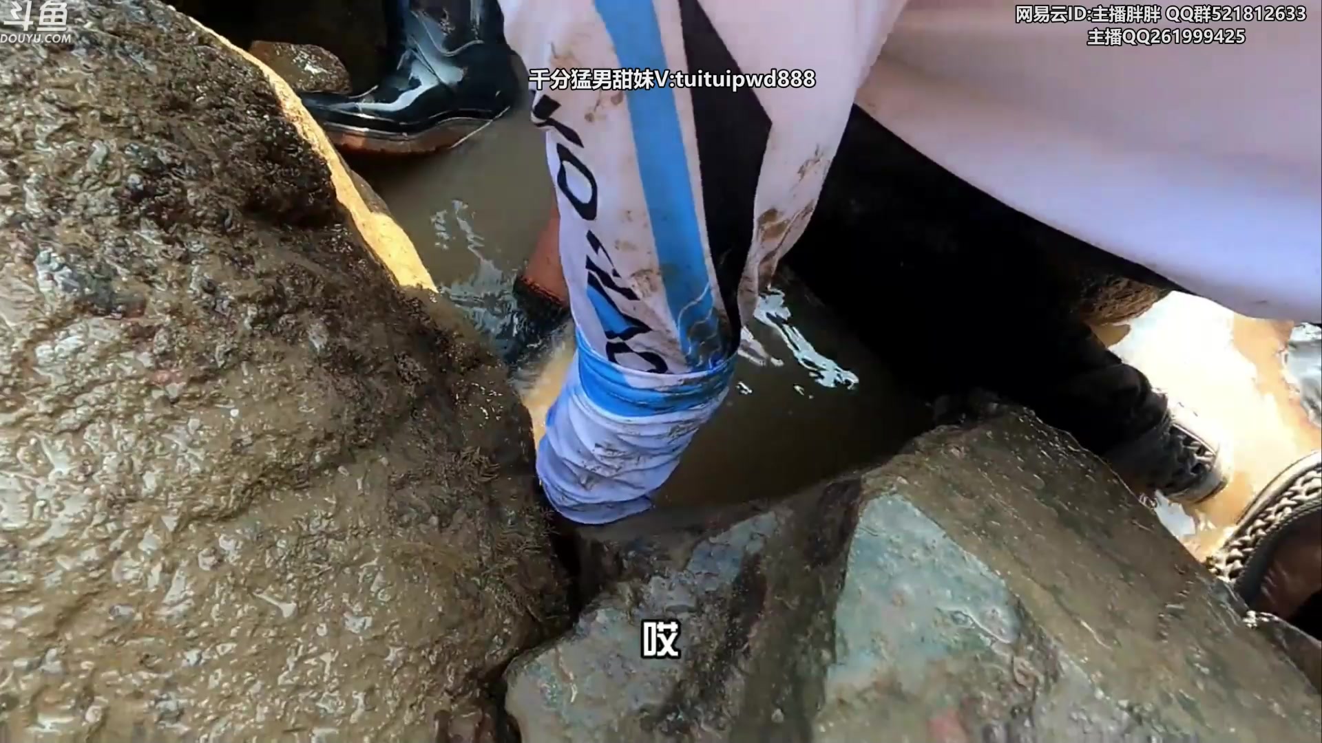 【2023-06-16 02点场】胖胖灬：胖胖OB：JD BLG强啊，神 韩服排位