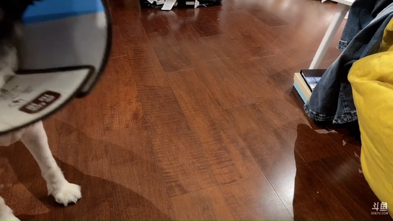 【英雄联盟】不2不叫周淑怡的精彩时刻 20230617 00点场