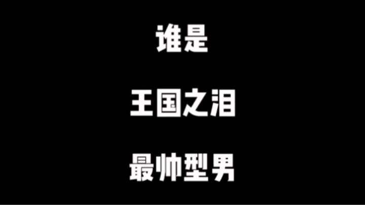 谁是王国之泪最帅型男？
