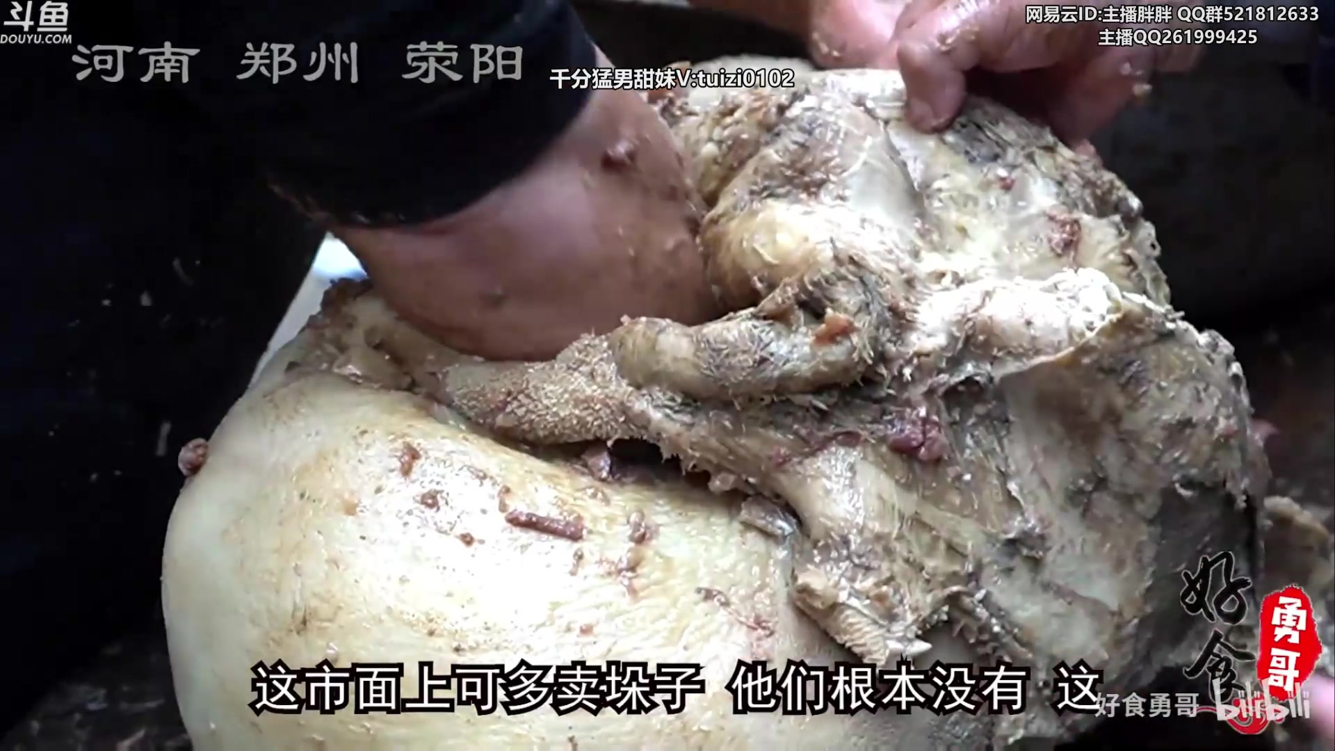 【2023-06-19 00点场】胖胖灬：胖胖OB：JD强，BLG TES去世界赛