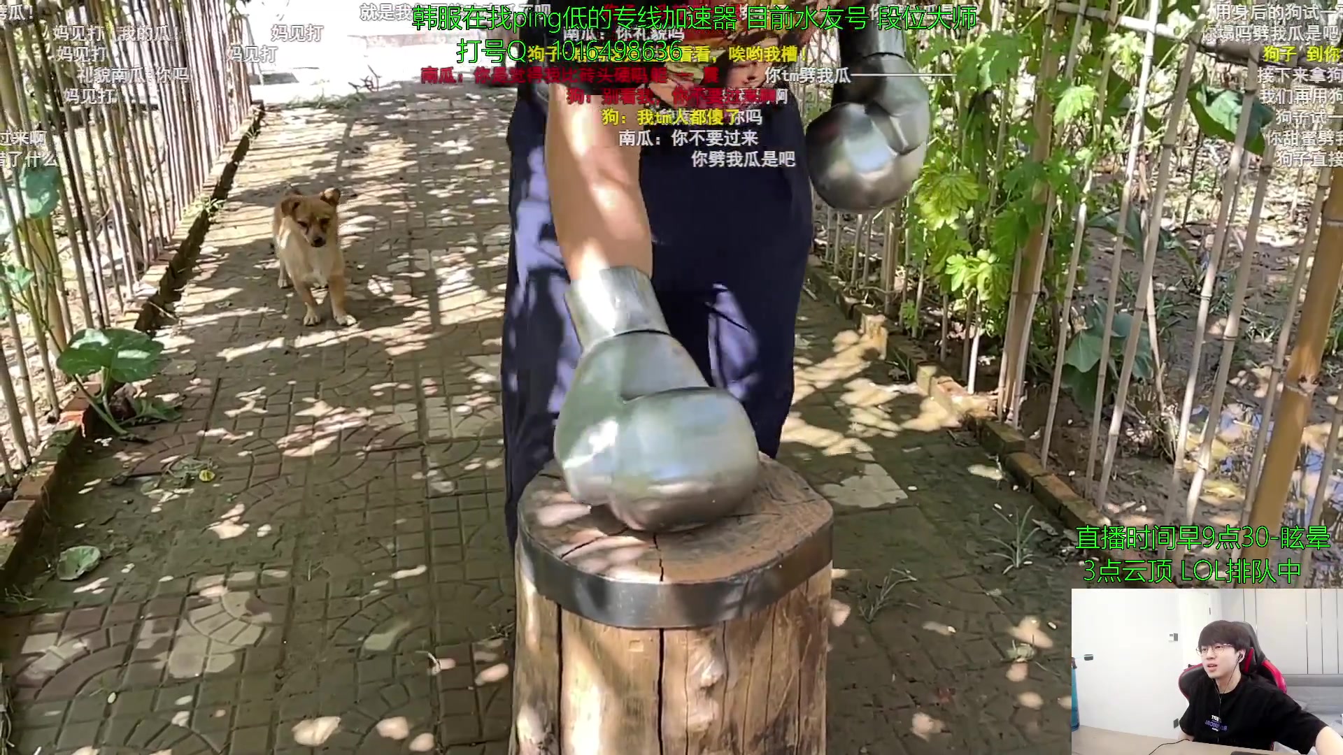 【2023-06-19 13点场】普朗东丷：【直播】版本答案？