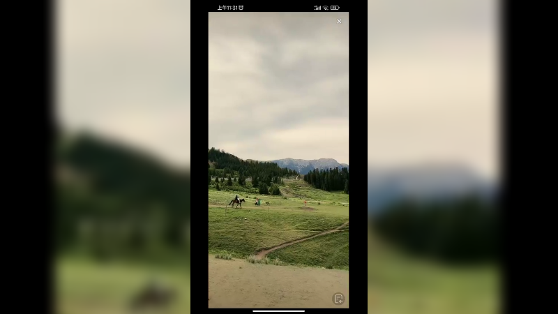 在新疆草原上骑马也好惬意