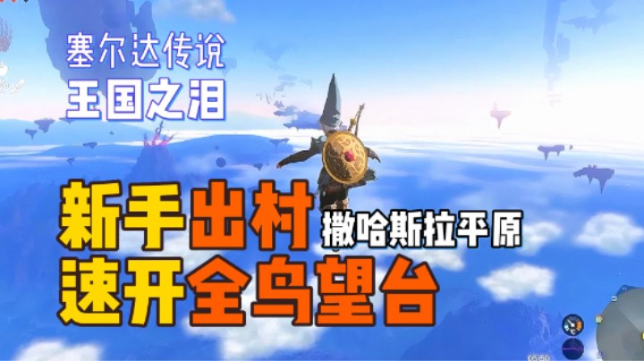 撒哈斯拉平原-鸟望台